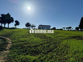 قطعة أرضية محفظة للبيع بالملاليين تطوان - Terrain à vendre - Tetouan