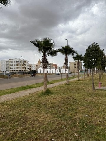 DES LOTS DE TERRAINS A KHEMISSAT - Vente Immobilier - Khemisset - photo 2
