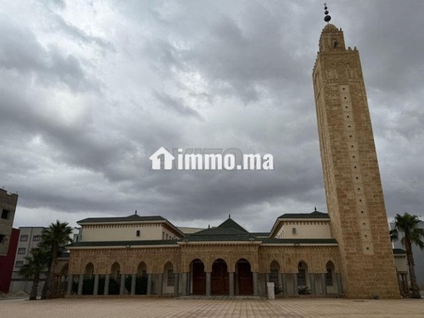 des-lots-de-terrains-a-khemissat-big-5