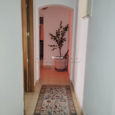 superbe-appartement-meuble-a-loue-big-4