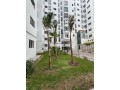 appartement-a-louer-65-m2-a-tanger-small-6