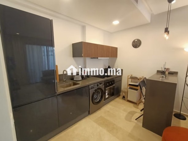 location-studio-tres-moderne-a-palmier-big-10