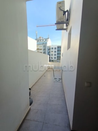 location-studio-tres-moderne-a-palmier-big-15