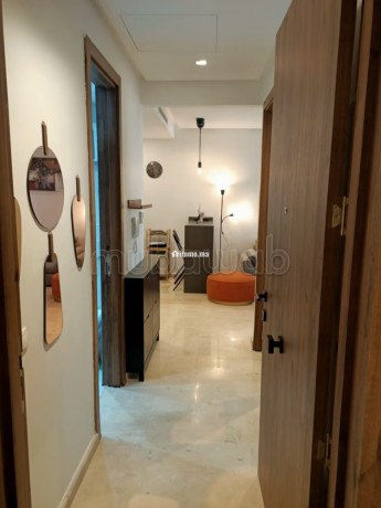 location-studio-tres-moderne-a-palmier-big-1