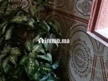 Appartement chari3e ibno3ardone - Appartement Location Vacances - Tanger