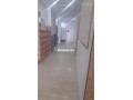 brtma-mfrsh-llkraaa-alyomy-ao-llshhr-balblato-small-8