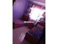 shk-mmtaz-llkraaa-alyomy-llaaaylat-small-6