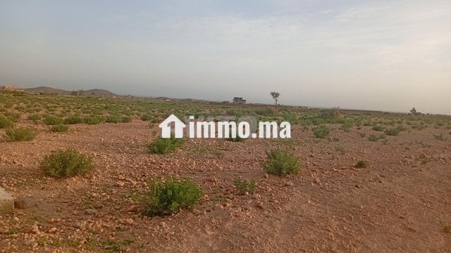 Terrain titre 16km Stade Marrakech - Vente Immobilier - Marrakech - photo 2