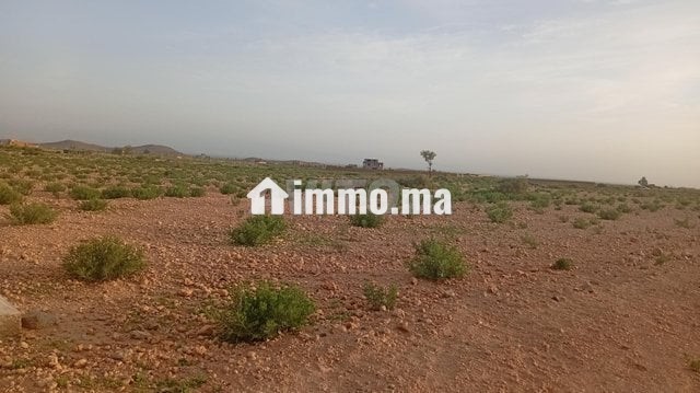 Terrain titre 16km Stade Marrakech - Vente Immobilier - Marrakech - photo 8