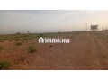 terrain-titre-16km-stade-marrakech-small-0
