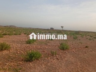 Terrain titre 16km Stade Marrakech - Terrain à vendre - Marrakech
