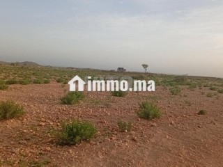 Terrain titre 16km Stade Marrakech - Terrain à vendre - Marrakech