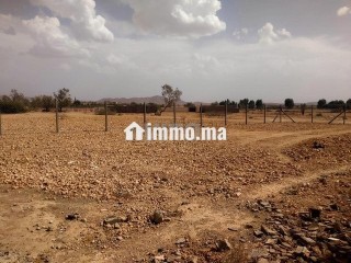Terrain Villa 16km Marrakech bonne afin - Terrain à vendre - Marrakech