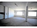 sapino-loue-unite-industrielle-stockage-4000-m2-small-9