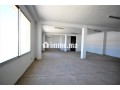 sapino-loue-unite-industrielle-stockage-4000-m2-small-15