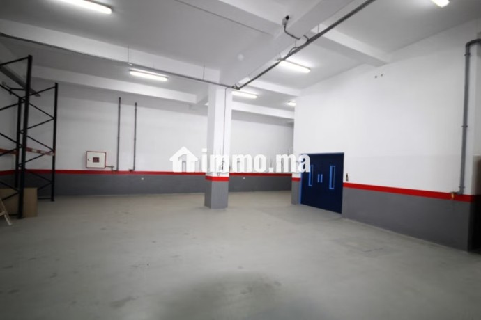 sapino-loue-unite-industrielle-stockage-4000-m2-big-10