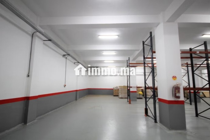 sapino-loue-unite-industrielle-stockage-4000-m2-big-11