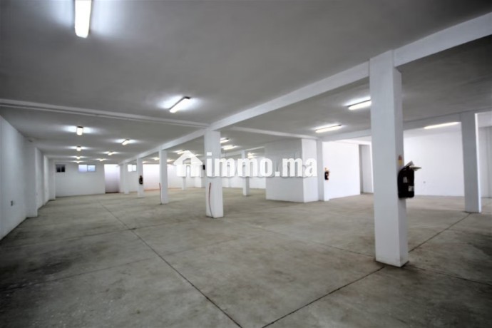 sapino-loue-unite-industrielle-stockage-4000-m2-big-12