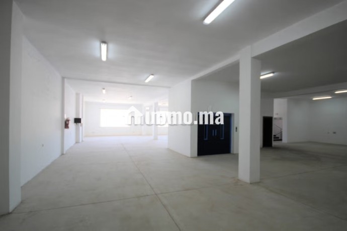 sapino-loue-unite-industrielle-stockage-4000-m2-big-14