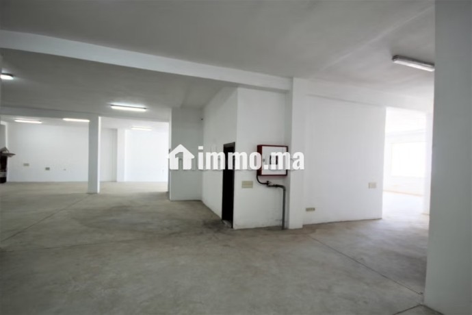 sapino-loue-unite-industrielle-stockage-4000-m2-big-16