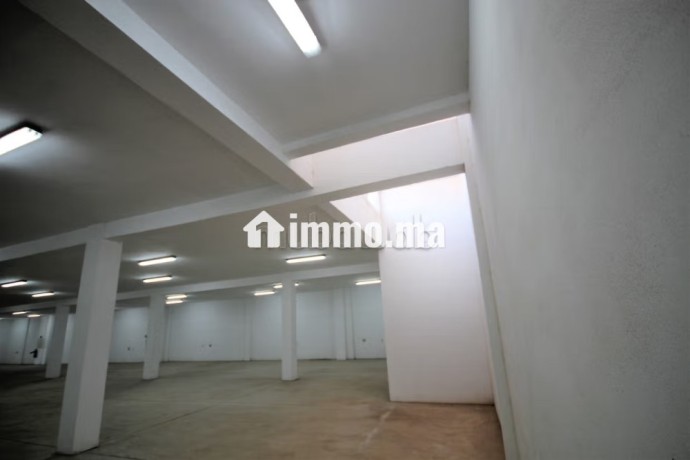 sapino-loue-unite-industrielle-stockage-4000-m2-big-17