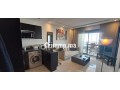 studio-meuble-avec-terrasse-a-gauthier-small-5