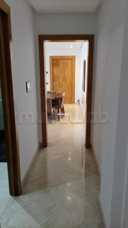appartement-meuble-avec-terrasse-a-location-a-cfc-big-9