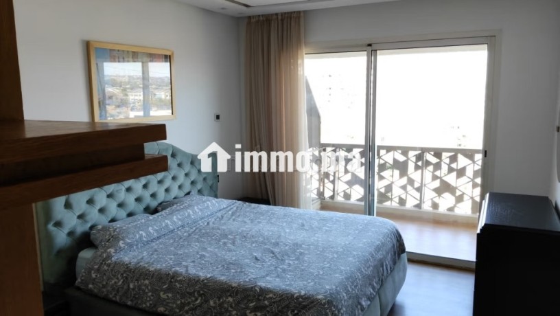 appartement-meuble-avec-terrasse-a-location-a-cfc-big-13
