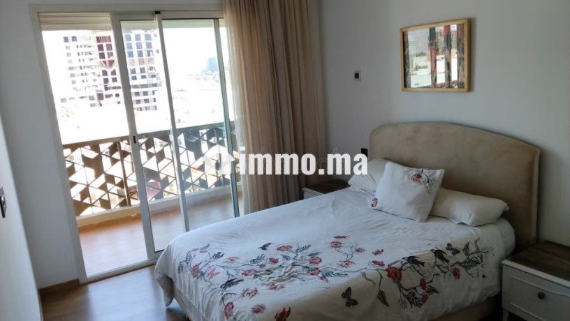 appartement-meuble-avec-terrasse-a-location-a-cfc-big-14