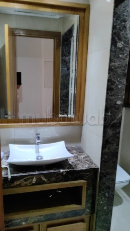 appartement-meuble-avec-terrasse-a-location-a-cfc-big-18