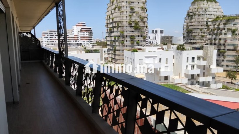 appartement-meuble-avec-terrasse-a-location-a-cfc-big-2