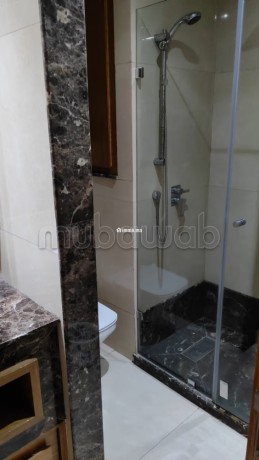 appartement-meuble-avec-terrasse-a-location-a-cfc-big-8