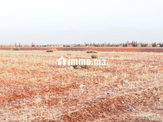 Terrain titre de 2 ha sd1 au km 12 route ourika - Terrain à vendre