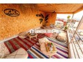 appartements-de-vacances-a-louer-tamraght-small-3