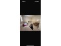 appartement-meuble-famille-etudiante-small-3