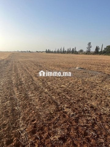 Titre bouskoura - Vente Immobilier - Casablanca - photo 3