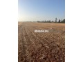 titre-bouskoura-small-2