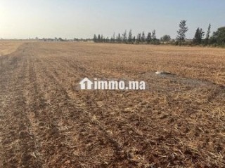 Titre bouskoura - Terrain à vendre - Casablanca