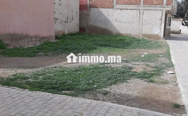 أرض للبيع مرخصة من أجل منزل 200 متر - Vente Immobilier - Nador - photo 2