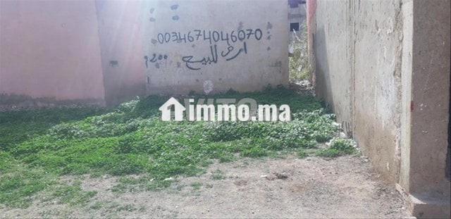 أرض للبيع مرخصة من أجل منزل 200 متر - Vente Immobilier - Nador - photo 4