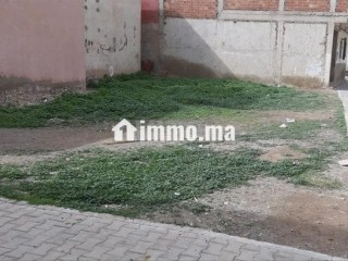 أرض للبيع مرخصة من أجل منزل 200 متر - Terrain à vendre - Nador