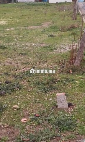 قطعة أرضية للبيع كابو نغرو بالقرب من مجمع إيكيا - Vente Immobilier - Martil - photo 1