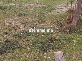 ktaa-ardy-llbyaa-kabo-nghro-balkrb-mn-mgmaa-aykya