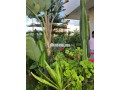 villa-a-vendre-small-10