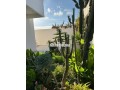 villa-a-vendre-small-5