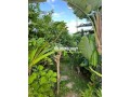 villa-a-vendre-small-8