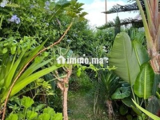 Villa à vendre - Villa à vendre - Temara