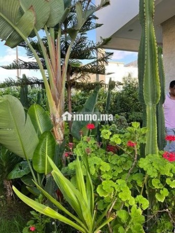 villa-a-vendre-big-10