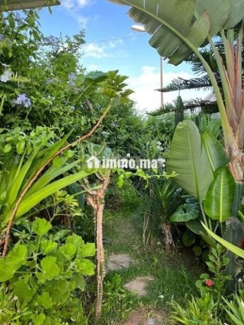 villa-a-vendre-big-8