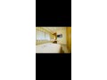 appartement-de-luxe-piscine-et-vue-wmer-small-8